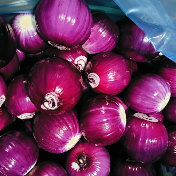 Huaang Food Processing gewinnt Marktanteile bei stabiler Qualität