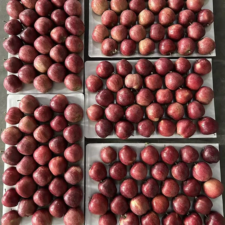 Leuchtend rote Sternäpfel
