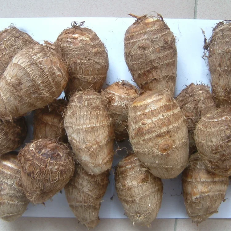 Feldfrisches Taro