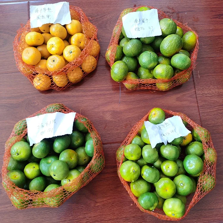 Frische Honigmandarine