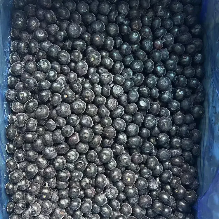 Gefrorene Blaubeer-Premium-IQF-Blaubeeren