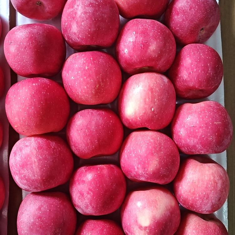 Premium Fresh Fuji Apples