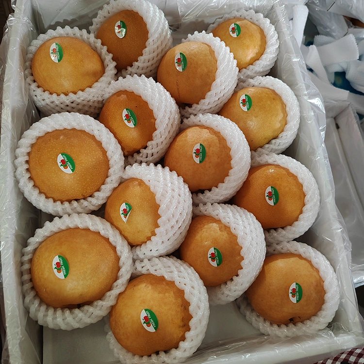 Premium Shingo Pears