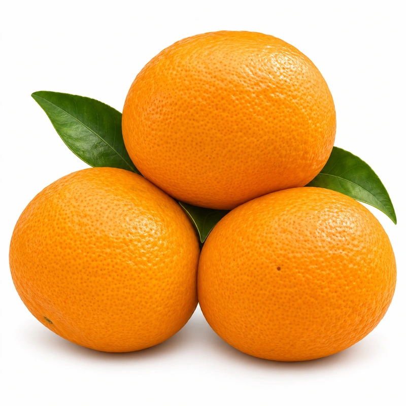 Hochwertiges frisches Aiyuan-Gelee mit dünner Orangenschale