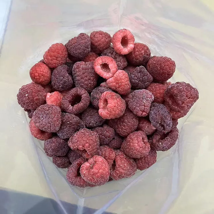 Premium IQF ganze gefrorene rote Himbeere