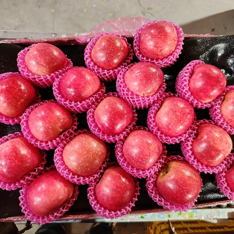 Hochwertige frische Jiguan-Äpfel